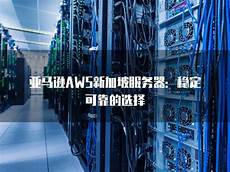 新加坡服务器的价新加坡服务器的价格表怎么看 格表怎么看,