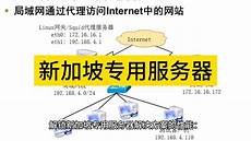 新加坡专用服务器